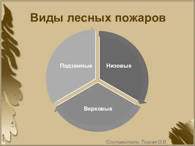 Виды лесных пожаров Составитель: Тоцкая О.В.