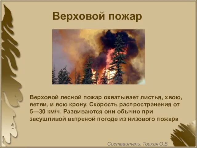 Верховой пожар Верховой лесной пожар охватывает листья, хвою, ветви, и всю крону.