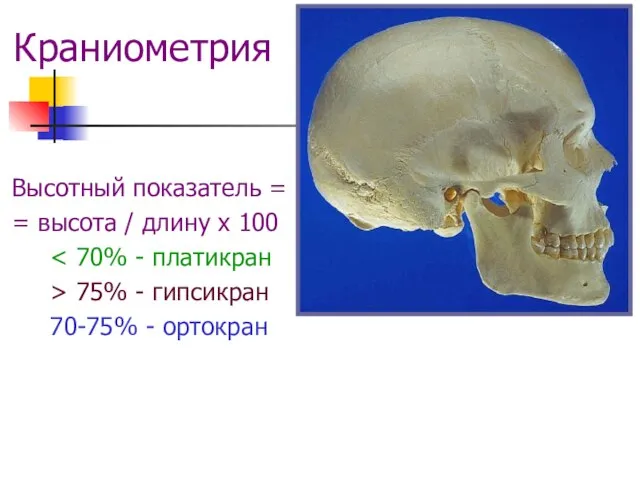 Краниометрия Высотный показатель = = высота / длину х 100 > 75%