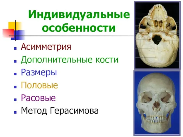 Индивидуальные особенности Асимметрия Дополнительные кости Размеры Половые Расовые Метод Герасимова