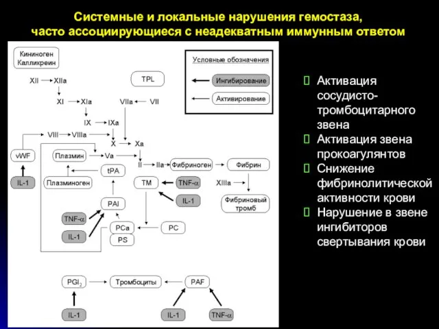 Системные и локальные нарушения гемостаза, часто ассоциирующиеся с неадекватным иммунным ответом Активация