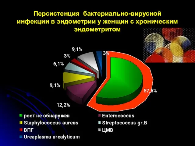 Персистенция бактериально-вирусной инфекции в эндометрии у женщин с хроническим эндометритом