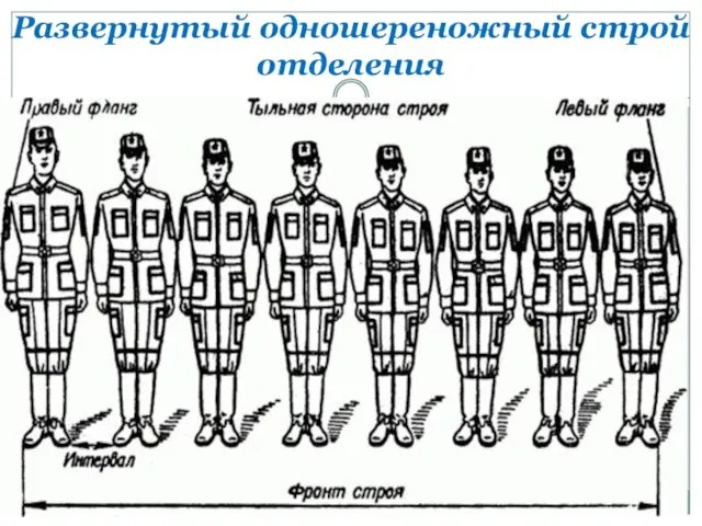 Развернутый одношереножный строй отделения