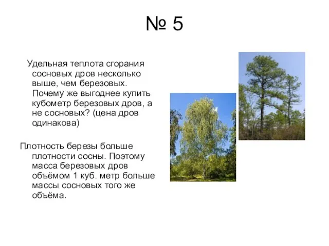 № 5 Удельная теплота сгорания сосновых дров несколько выше, чем березовых. Почему