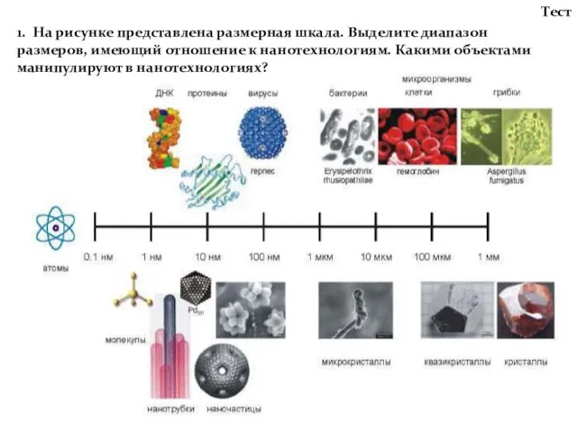 Тест 1. На рисунке представлена размерная шкала. Выделите диапазон размеров, имеющий отношение