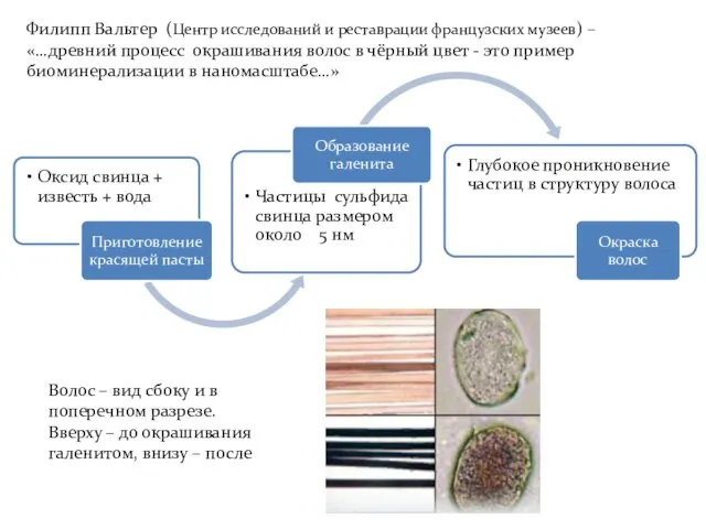 Филипп Вальтер (Центр исследований и реставрации французских музеев) – «…древний процесс окрашивания
