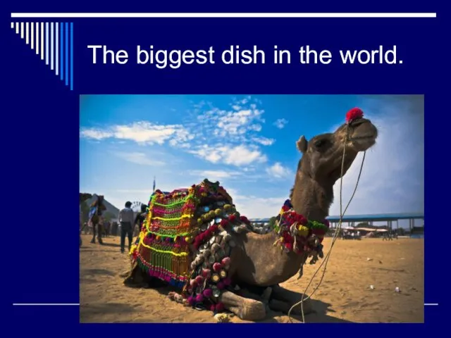 The biggest dish in the world.