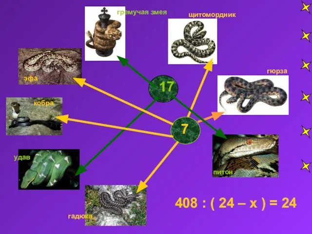 17 7 гремучая змея удав кобра эфа щитомордник гадюка гюрза 408 :
