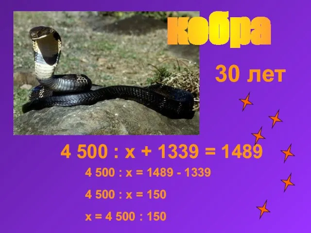 кобра 4 500 : x + 1339 = 1489 30 лет 4