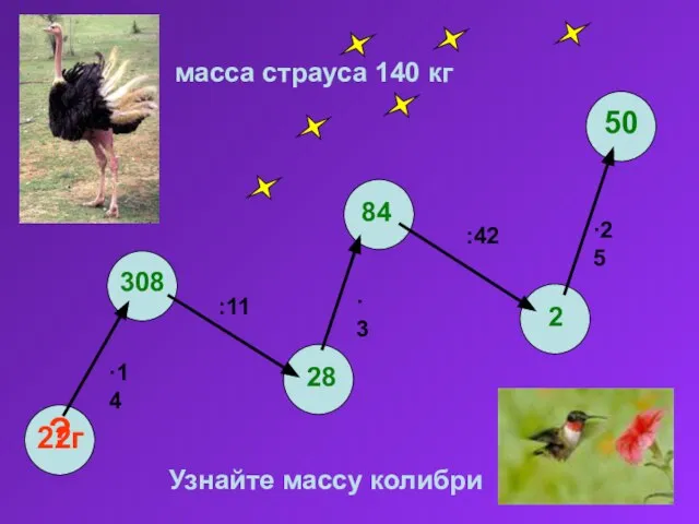 масса страуса 140 кг 22г ·14 ·25 :42 ·3 :11 ? 308