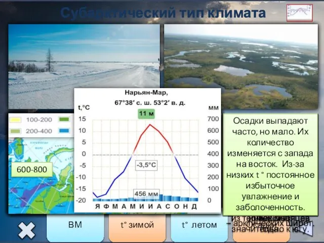 Субарктический тип климата ВМ t° зимой t° летом Осадки Субарктический пояс расположен