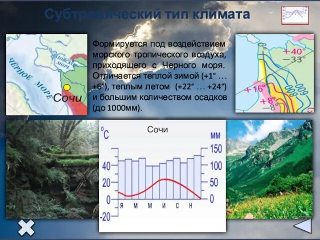 Субтропический тип климата Формируется под воздействием морского тропического воздуха, приходящего с Черного