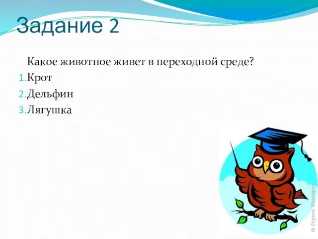 Задание 2 Какое животное живет в переходной среде? Крот Дельфин Лягушка