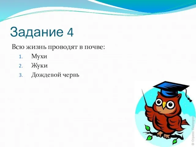 Задание 4 Всю жизнь проводят в почве: Мухи Жуки Дождевой червь