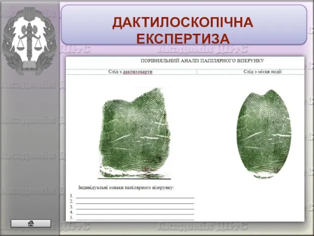 ДАКТИЛОСКОПІЧНА ЕКСПЕРТИЗА