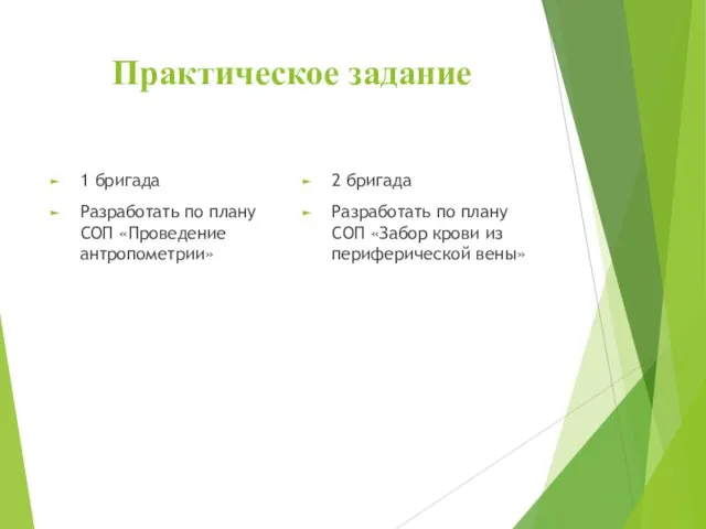 Практическое задание 1 бригада Разработать по плану СОП «Проведение антропометрии» 2 бригада