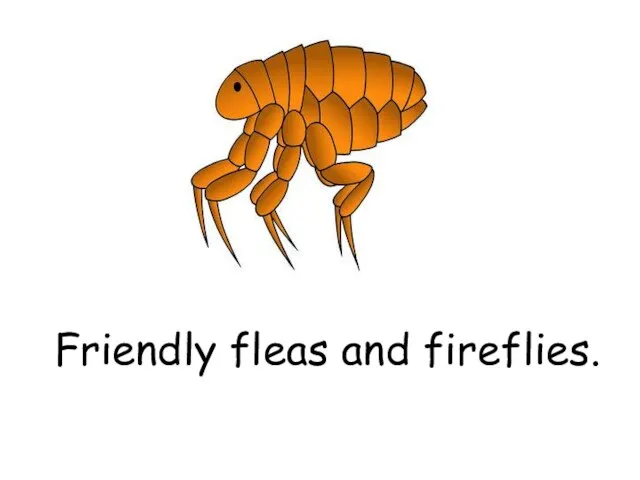 Friendly fleas and fireflies.