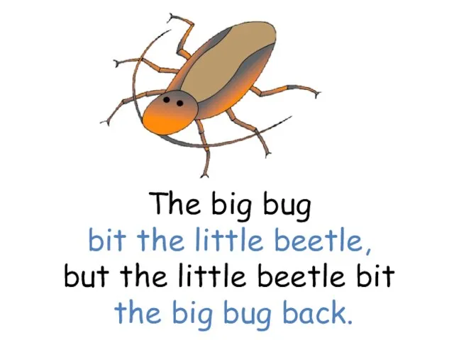 The big bug bit the little beetle, but the little beetle bit the big bug back.