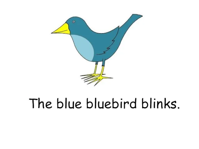 The blue bluebird blinks.