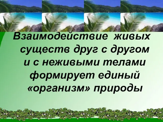 Взаимодействие живых существ друг с другом и с неживыми телами формирует единый «организм» природы