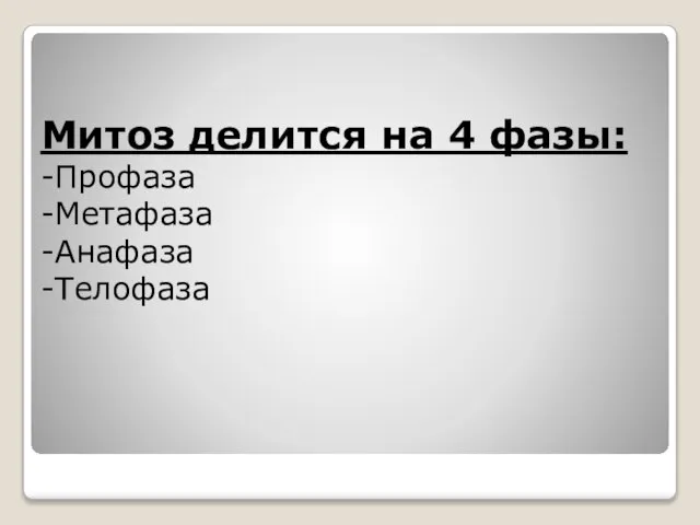 Митоз делится на 4 фазы: -Профаза -Метафаза -Анафаза -Телофаза