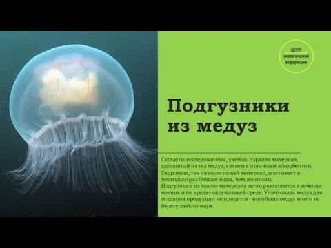 Подгузники из медуз Согласно исследованиям, ученых Израиля материал, сделанный из тел медуз,
