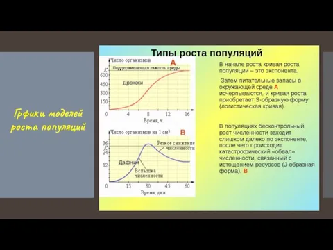 Грфики моделей роста популяций