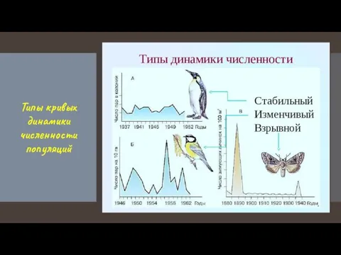 Типы кривых динамики численности популяций