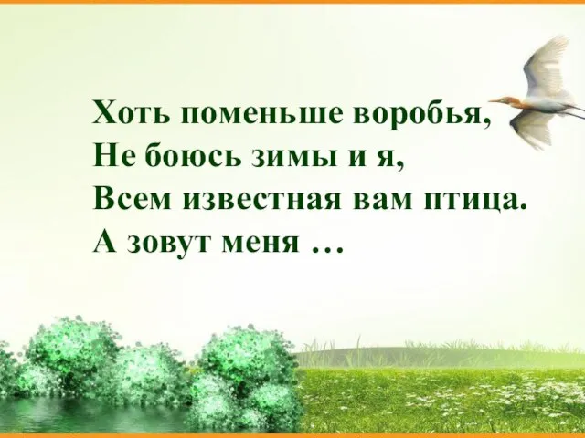 Хоть поменьше воробья, Не боюсь зимы и я, Всем известная вам птица. А зовут меня …