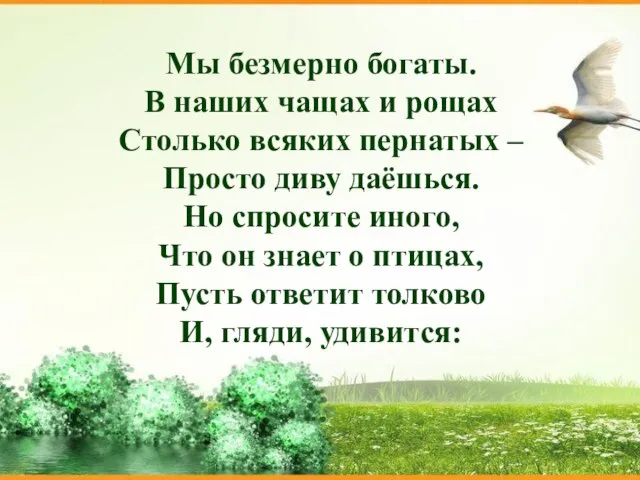 Мы безмерно богаты. В наших чащах и рощах Столько всяких пернатых –