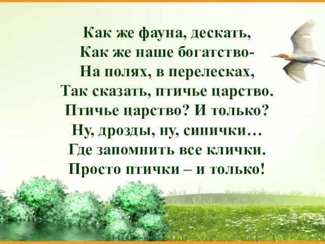 Как же фауна, дескать, Как же наше богатство- На полях, в перелесках,