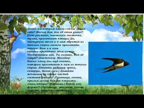 Давай посмотрим какое сейчас время года? (Весна) Как ты об этом узнал?