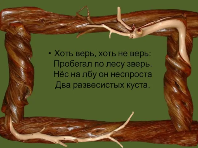 Хоть верь, хоть не верь: Пробегал по лесу зверь. Нёс на лбу