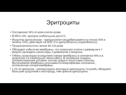 Эритроциты Составляют 94% от всех клеток крови. В КМ 6-10% -эритрон (небольшое