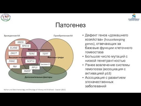Патогенез Nathan and Oskis Hematology and Oncology of Infancy and Childhood -