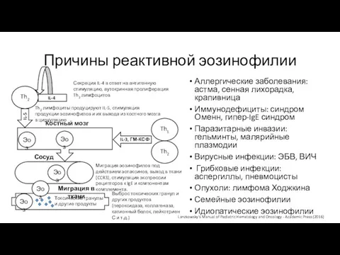 Причины реактивной эозинофилии Аллергические заболевания: астма, сенная лихорадка, крапивница Иммунодефициты: синдром Оменн,