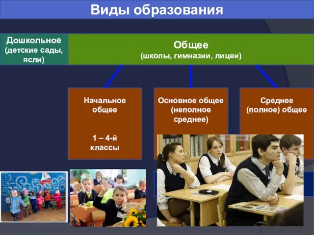 Виды образования Дошкольное (детские сады, ясли) Общее (школы, гимназии, лицеи) Начальное общее