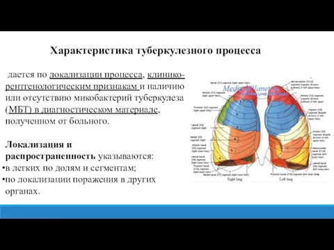 дается по локализации процесса, клинико-рентгенологическим признакам и наличию или отсутствию микобактерий туберкулеза