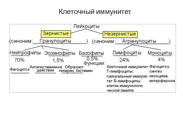 Клеточный иммунитет