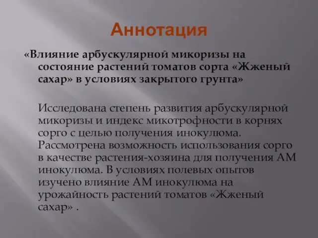 Аннотация «Влияние арбускулярной микоризы на состояние растений томатов сорта «Жженый сахар» в