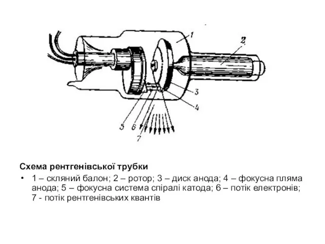 Схема рентгенівської трубки 1 – скляний балон; 2 – ротор; 3 –