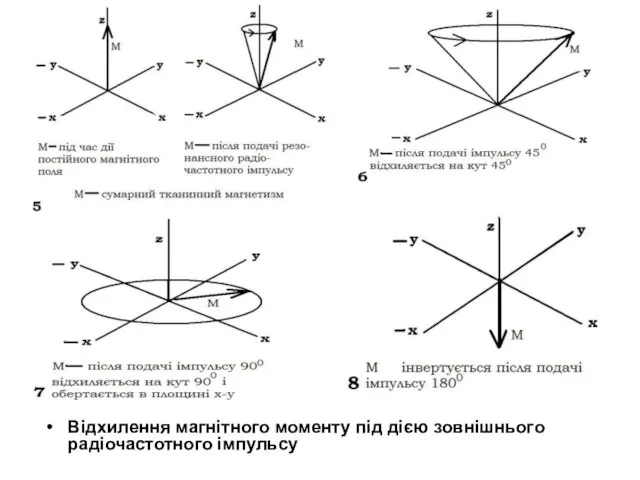 Відхилення магнітного моменту під дією зовнішнього радіочастотного імпульсу