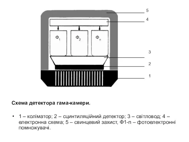 Схема детектора гама-камери. 1 – коліматор; 2 – сцинтиляційний детектор; 3 –