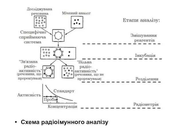 Схема радіоімунного аналізу