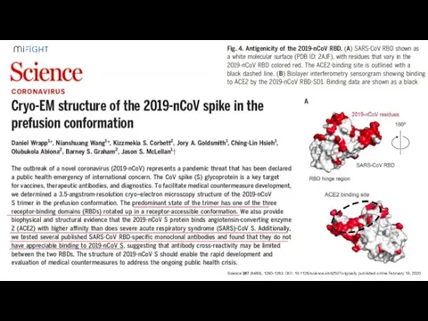 Science 367 (6483), 1260-1263. DOI: 10.1126/science.abb2507originally published online February 19, 2020
