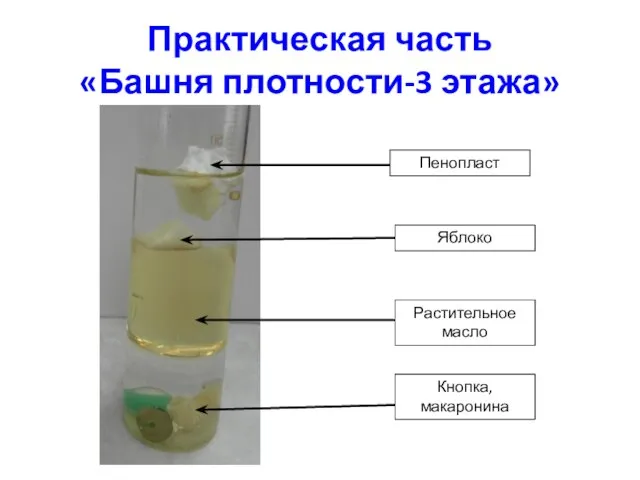 Практическая часть «Башня плотности-3 этажа» Пенопласт Яблоко Растительное масло Кнопка, макаронина