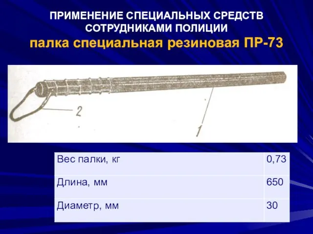 ПРИМЕНЕНИЕ СПЕЦИАЛЬНЫХ СРЕДСТВ СОТРУДНИКАМИ ПОЛИЦИИ палка специальная резиновая ПР-73