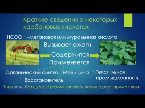 Краткие сведения о некоторых карбоновых кислотах НСООН –метановая или муравьиная кислота Вызывает