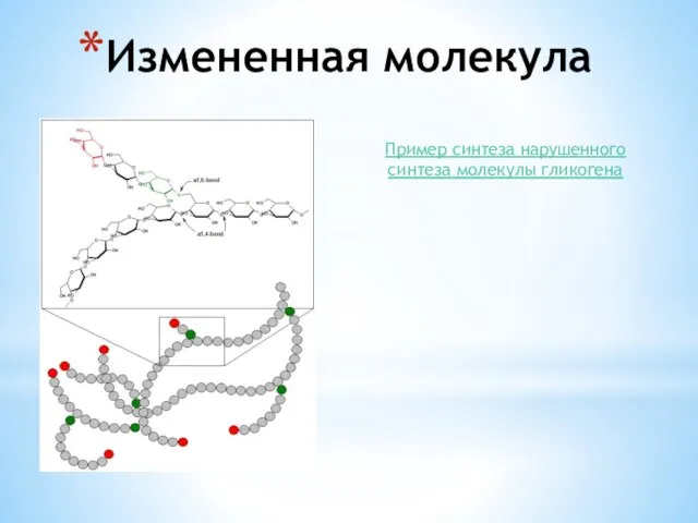 Измененная молекула Пример синтеза нарушенного синтеза молекулы гликогена