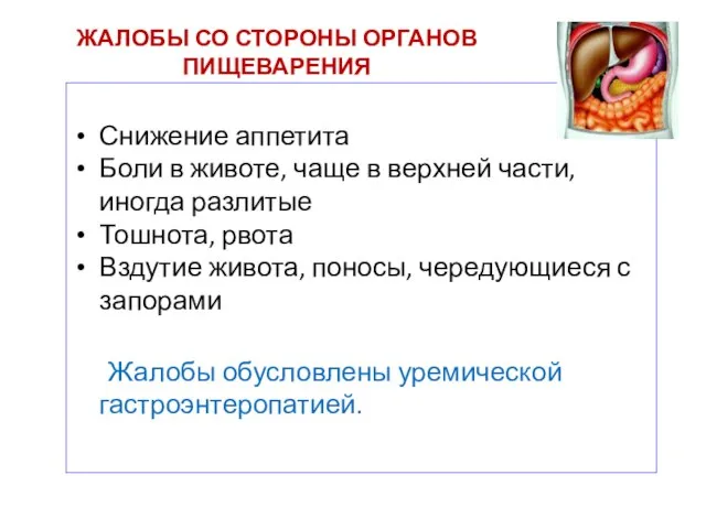 ЖАЛОБЫ СО СТОРОНЫ ОРГАНОВ ПИЩЕВАРЕНИЯ Снижение аппетита Боли в животе, чаще в